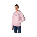 Carhartt Women's Iconic Clarksburg Logo Hooded Sweatshirt