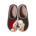 L.L.Bean Women's Santa Hat Golden Retriever Daybreak Scuffs