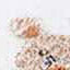 World's Softest Women's Cozy Crew Socks