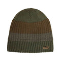 Broner Tahoe Color Blocked Striped Beanie