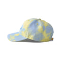 Carhartt Women's Canvas Embroidered Graphic Cap
