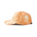 Carhartt Women's Canvas Embroidered Graphic Cap
