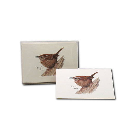 Earth Sky + Water Carolina Wren Notecards