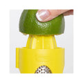 Citrus Zester & Reamer