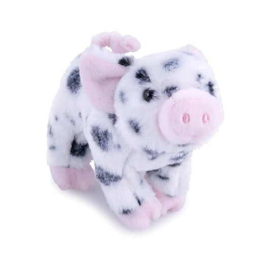Douglas Cuddle Toys Leroy Pig with Black Spots Plush Toy Black Spotted
