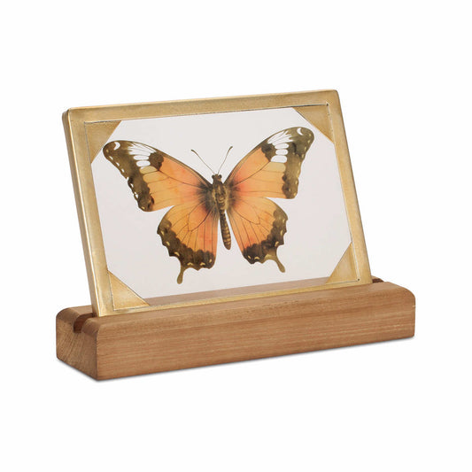 Melrose International Glass Butterfly Decor Stand with Wooden Base