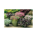 The Old Farmer's Almanac Container Gardener's Handbook