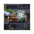 The Old Farmer's Almanac Vegetable Gardener's Handbook