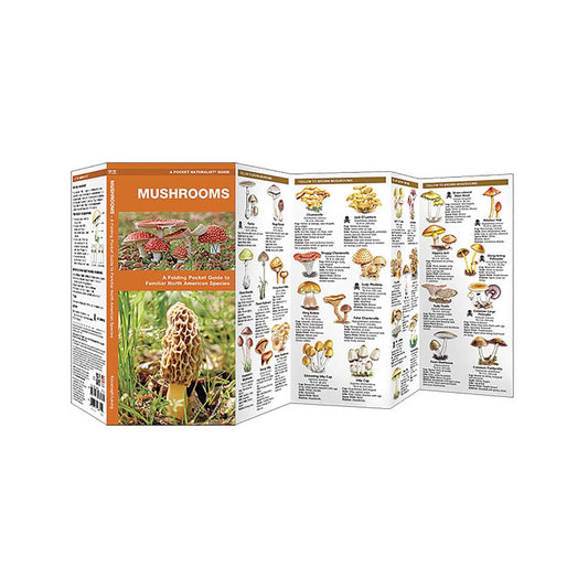 Mushrooms