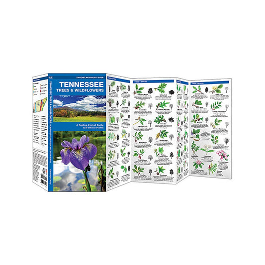 Tennessee Trees & Wildflowers