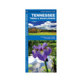 Tennessee Trees & Wildflowers