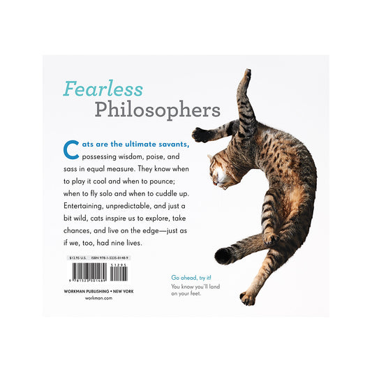 Really Important Stuff My Cat Has Taught Me