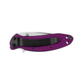 Kershaw Knives Purple Scallion Knife