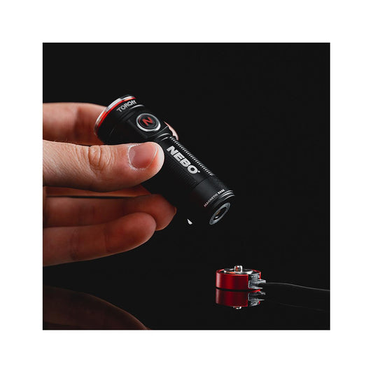 Torchy Flashlight