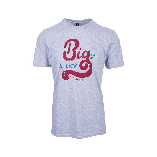 Mast General Store Big Lick Roanoke VA Short Sleeve T-Shirt Ath Htr Grey