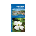Virginia Trees & Wildflowers