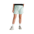 The North Face Women’s Evolution Simple Dome Regular Shorts