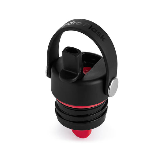 Color swatch for Hydro Flask Standard Mouth Flex Straw Cap in Black