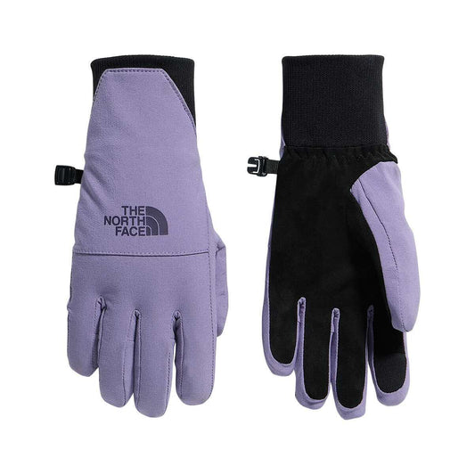 The North Face Women's Shelbe Raschel Etip Gloves, Grounded Plum