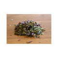 Asheville Tea Company Hibiscus Mojito Tea Box