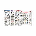 Eastern Backyard Birds Folding Pocket Guide