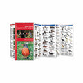 Eastern Backyard Birds Folding Pocket Guide