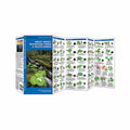 Great Smoky Mountains Trees and Wildflowers Folding Pocket Guide