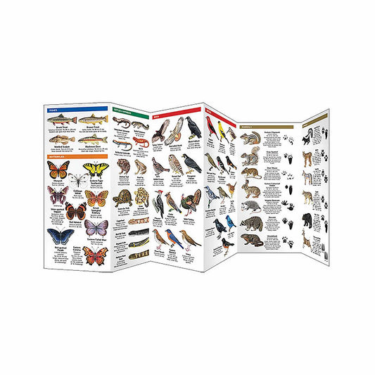 Shenandoah National Park Plants & Animals Folding Pocket Guide