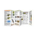 Birding 101 Folding Pocket Guide