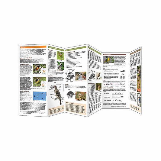 Birding 101 Folding Pocket Guide