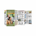 Birding 101 Folding Pocket Guide
