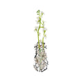 Modgy Louis C. Tiffany Magnolia Suction Cup Vase