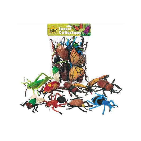 Insect Collection