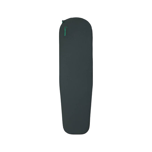 Color swatch for Trail Scout Self-Inflating Sleeping Pad - Regular in Deep Forest