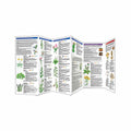 Foraging for Wild Edible Foods Folding Pocket Guide