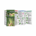 Foraging for Wild Edible Foods Folding Pocket Guide