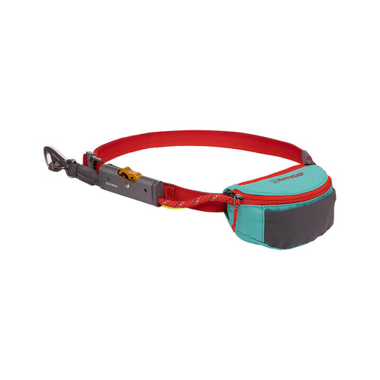 Hitch Hiker Dog Leash Aurora Teal