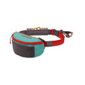 Hitch Hiker Dog Leash Aurora Teal