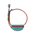 Hitch Hiker Dog Leash Aurora Teal