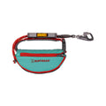 Hitch Hiker Dog Leash Aurora Teal