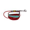 Hitch Hiker Dog Leash Aurora Teal