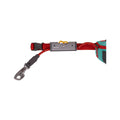 Hitch Hiker Dog Leash Aurora Teal