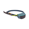 Hitch Hiker Dog Leash Slate Blue