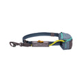 Hitch Hiker Dog Leash Slate Blue