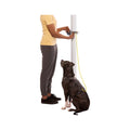Hitch Hiker Dog Leash Slate Blue
