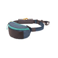 Hitch Hiker Dog Leash Slate Blue