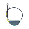 Hitch Hiker Dog Leash Slate Blue