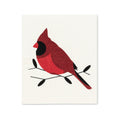Abbott Swedish Cardinal Dishcloths - 2 Pack