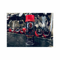 Hickory Brands Shoe Disinfectant & Deodorizer