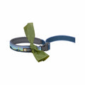 Crag EX Adjustable Dog Leash Alpine Dawn